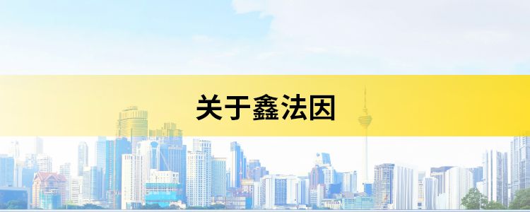 公司简介